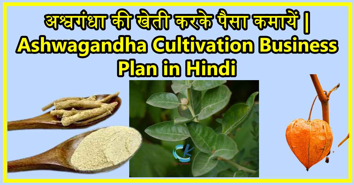 ashwagandha-farming-business-ideas-in-hindi-currency-khabar